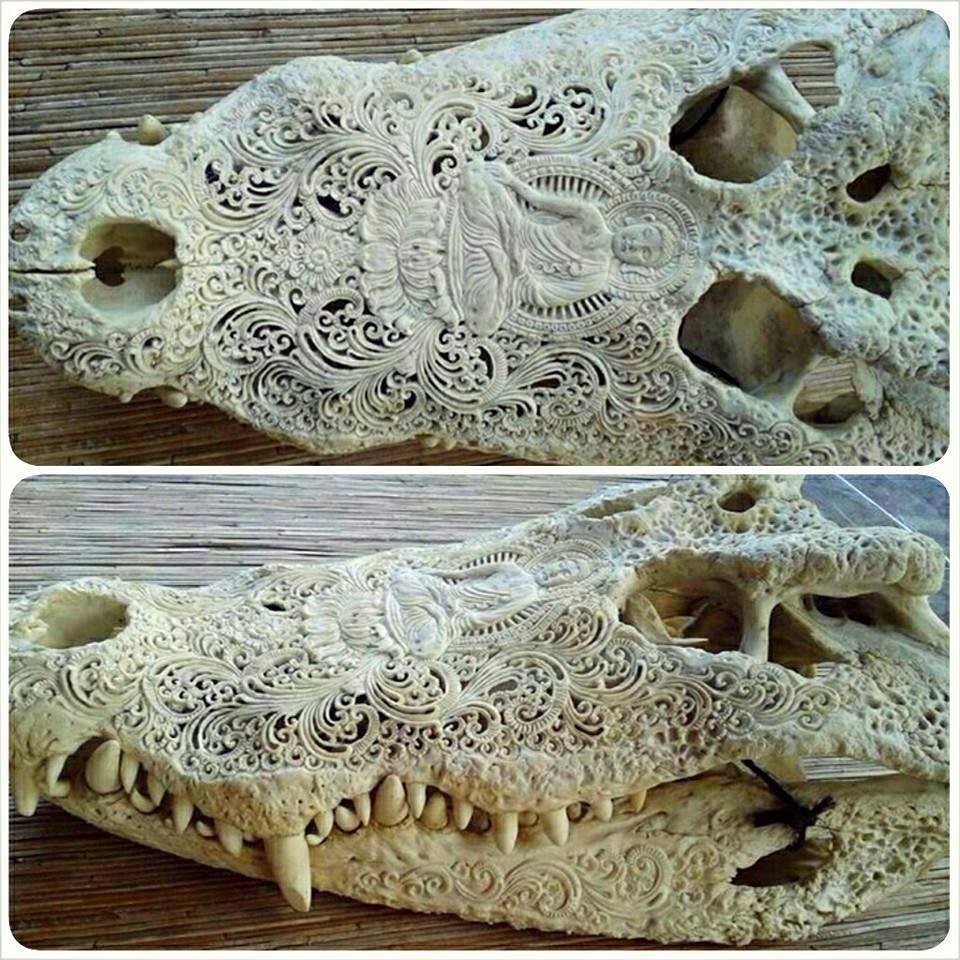 carved alligator skull - Dona
