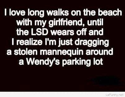 love long walks on the beach quote - I love long walks on the beach with my girlfriend, until the Lsd wears off and I realize I'm just dragging a stolen mannequin around a Wendy's parking lot LeFunnyhet