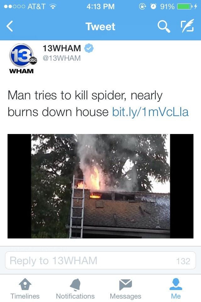 dead deer in pool - .000 At&T @ @ 91% O Qa Tweet 13WHAM abc Wham Man tries to kill spider, nearly burns down house bit.ly1mVcLla to 13WHAM 132 Timelines Notifications Messages Me