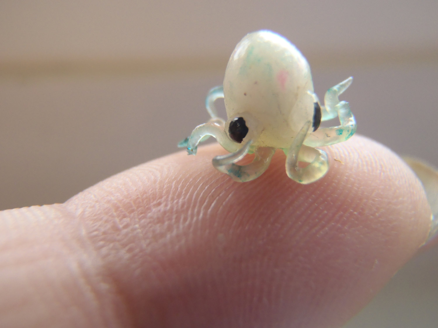 A tiny newborn octopus.