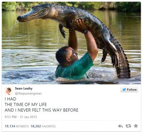 alligator time of my life - Sean Leahy I Had The Time Of My Life And I Never Felt This Way Before 19,134 18,262 Favorites