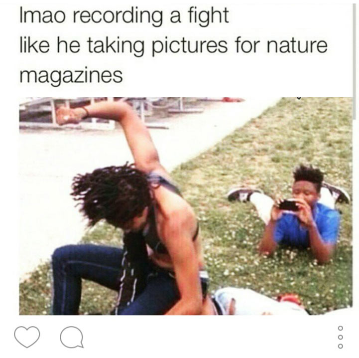 someone recording a fight - Imao recording a fight he taking pictures for nature magazines o a Ooo