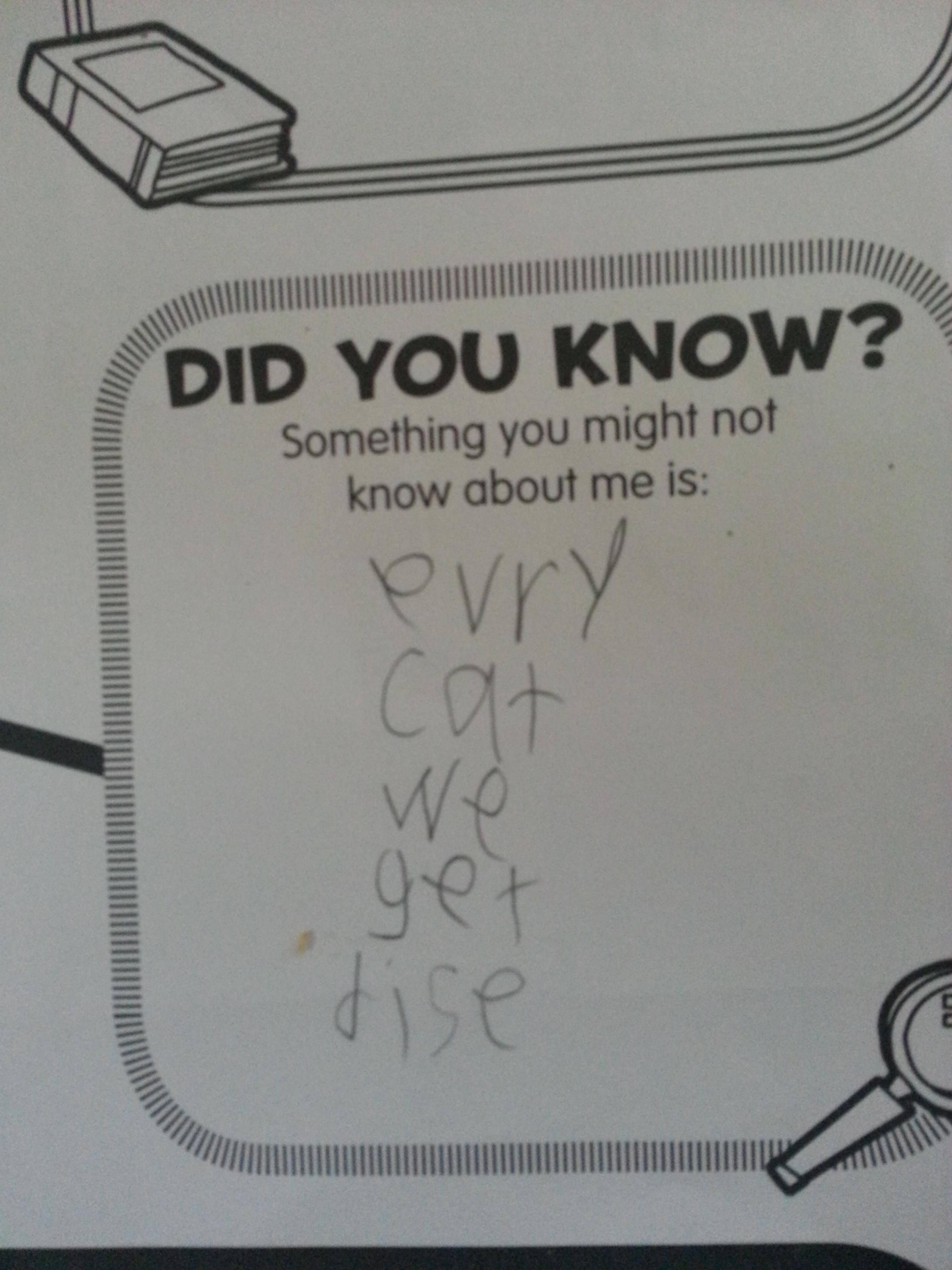 Child - Did You Know? Something you might not know about me is evry cat get dise