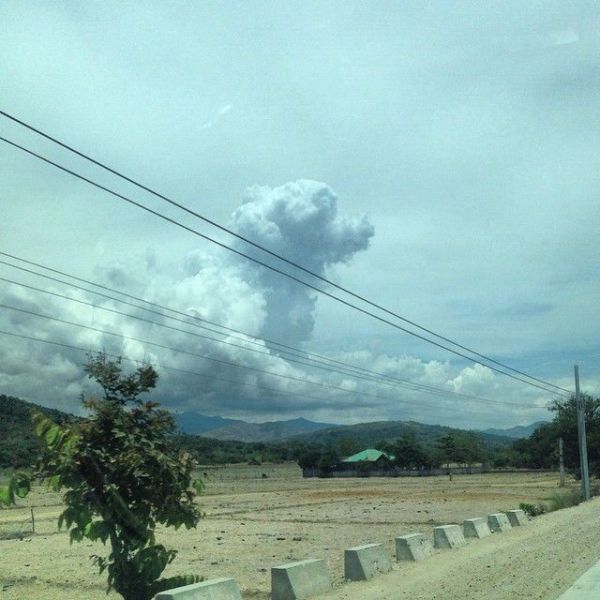 dog cloud