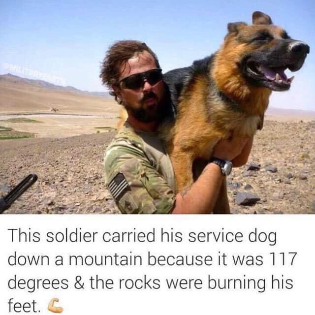 military dogs funny - This soldier carried his service dog down a mountain because it was 117 degrees & the rocks were burning his feet.