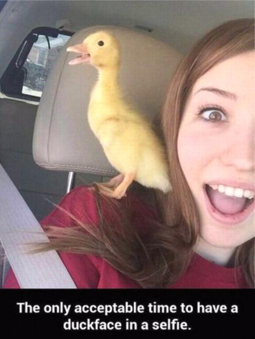 only acceptable duck face - The only acceptable time to have a duckface in a selfie.