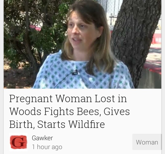 pregnant woman in woods - Pregnant Woman Lost in Woods Fights Bees, Gives Birth, Starts Wildfire Gawker Woman 1 hour ago