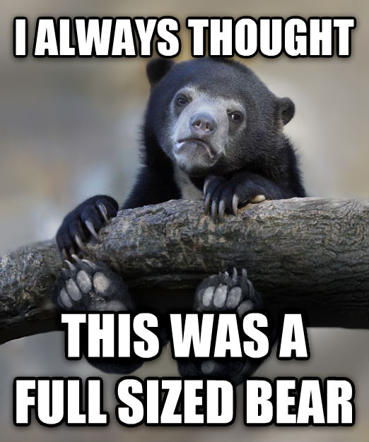 photo caption - I Always Thought This Was A Full Sized Bear