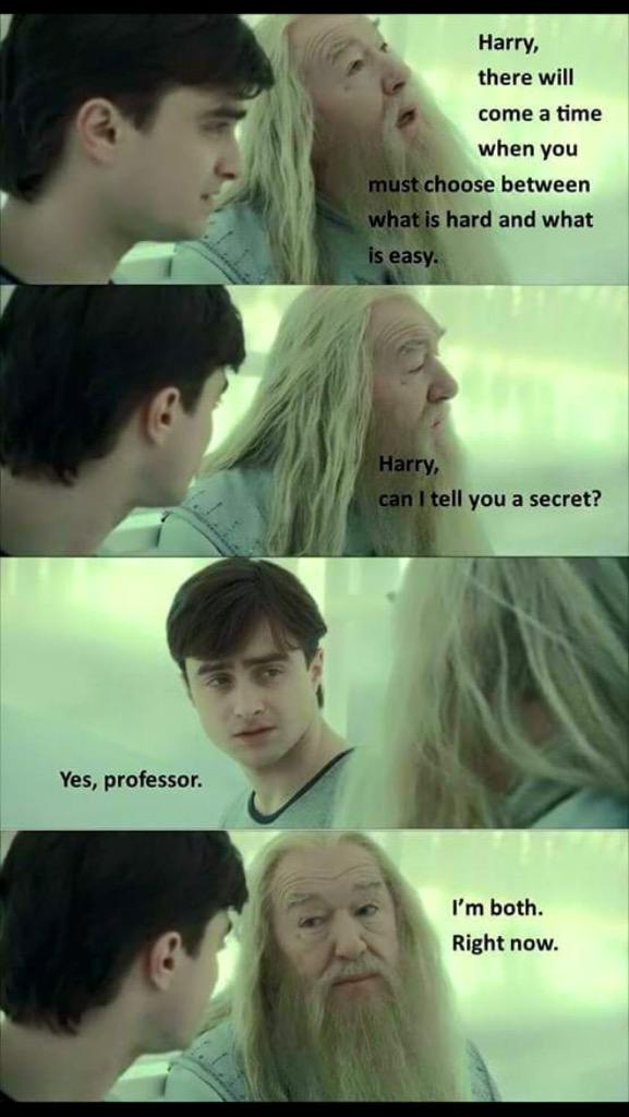 harry potter and dumbledore meme - Harry, there will come a time when you must choose between what is hard and what is easy. Harry, can I tell you a secret? Yes, professor. I'm both. Right now.