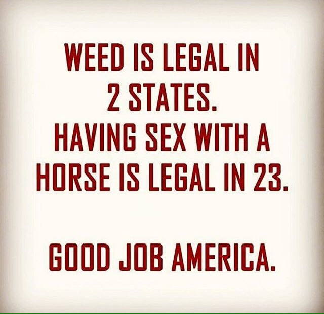 Weed Is Legal In 2 States. Having Sex With A Horse Is Legal In 23. Good Job America.