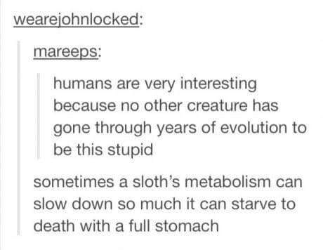 funny quotes and sayings - wearejohnlocked mareeps humans are very interesting because no other creature has gone through years of evolution to be this stupid sometimes a sloth's metabolism can slow down so much it can starve to death with a full stomach