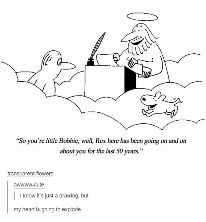 dog in heaven meme - "So you're little Bobbie; well, Rex here has been going on and on about you for the last 50 years. transparentflowers awwwwcute | I know it's just a drawing, but my heart is going to explode