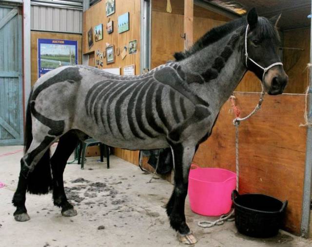 spooky horse