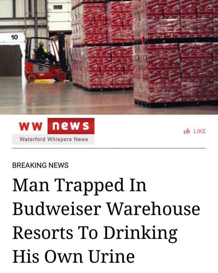 budweiser forklift - 10 ww news I Waterford Whispers News Breaking News Man Trapped In Budweiser Warehouse Resorts To Drinking His Own Urine