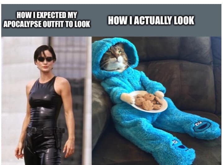 cat in pajamas - How T Expected My Apocalypse Outfit To Look