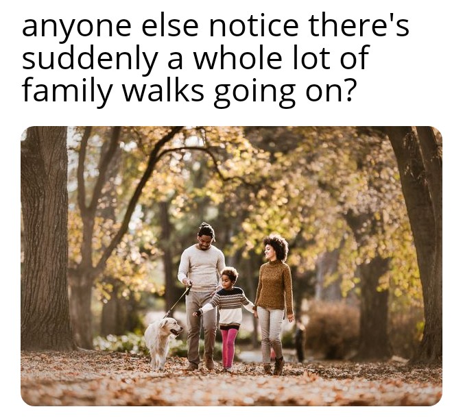 friendship - anyone else notice there's suddenly a whole lot of family walks going on?