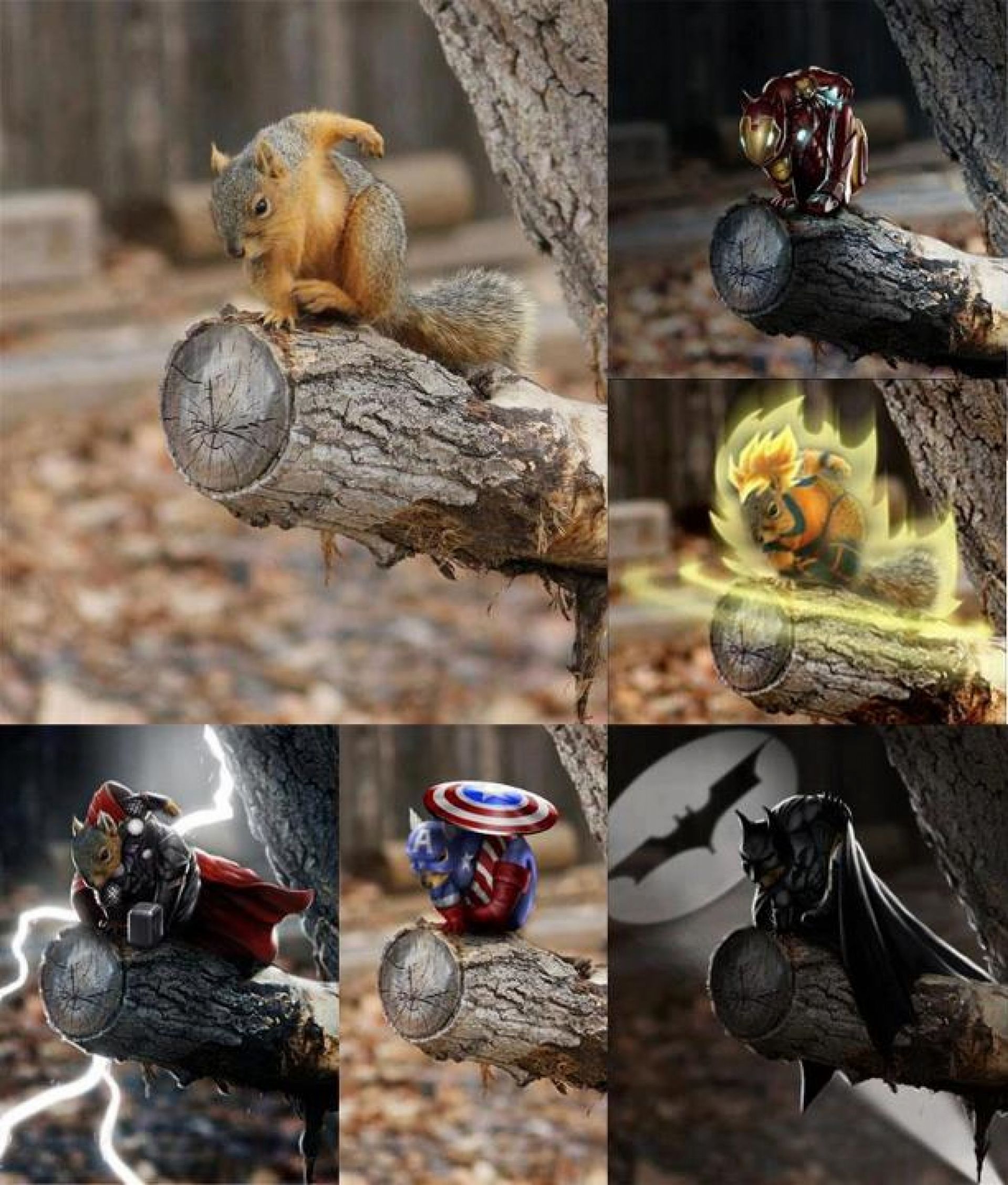 awesome random pics - super hero squirrels