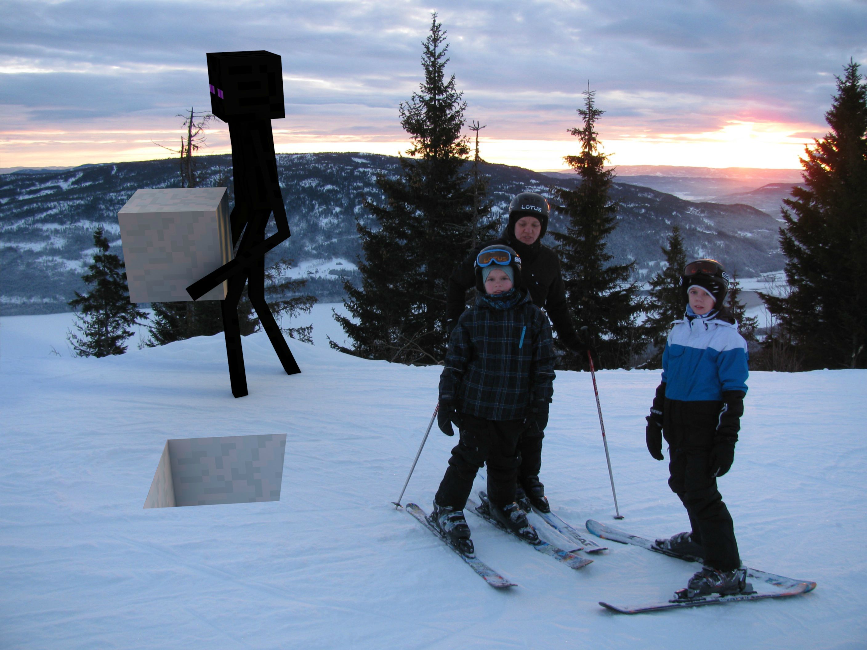 awesome random pics - ski pole