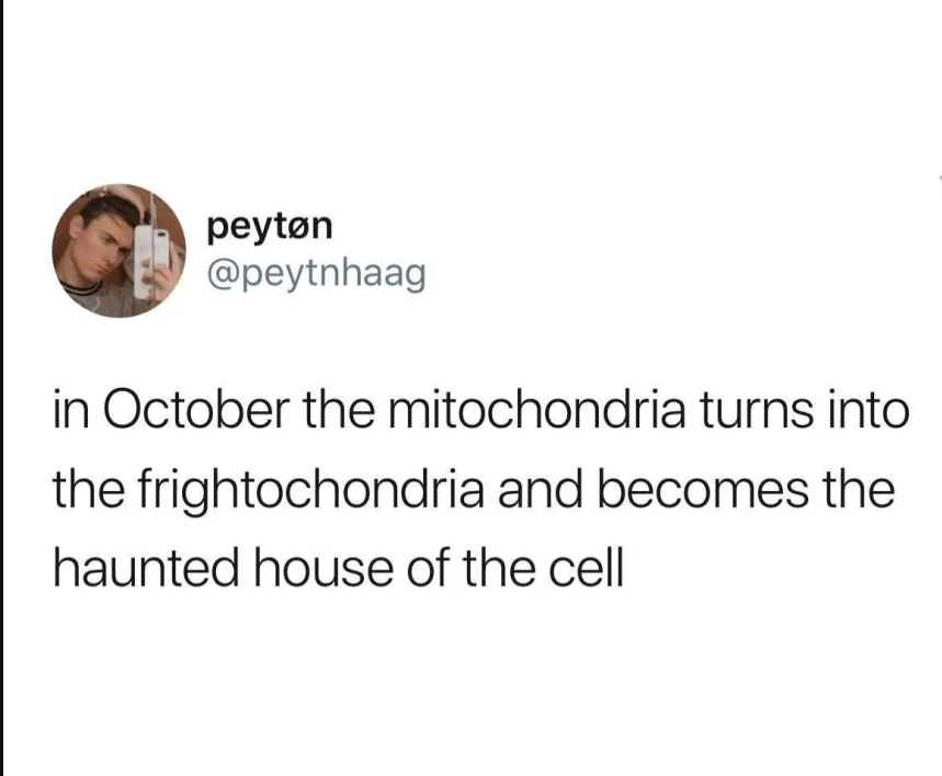 monday morning randomness - human behavior - peyton in October the mitochondria turns into the frightochondria and becomes the haunted house of the cell