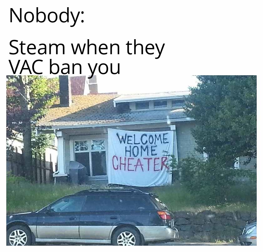 monday morning randomness - educational media - Nobody Steam when they Vac ban you Welcome Home Cheater