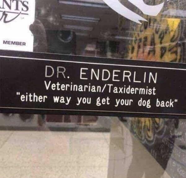 Monday Morning Randomness - vet and taxidermist either way you get your dog back - Nts r Member 93 Dr. Enderlin VeterinarianTaxidermist "either way you get your dog back"