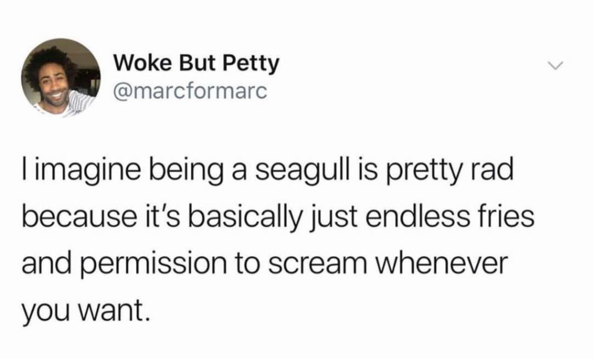 monday morning randomness -  we need to talk spicy armpits - Woke But Petty I imagine being a seagull is pretty rad because it's basically just endless fries and permission to scream whenever you want.