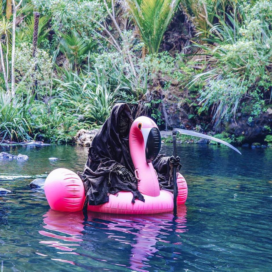 monday morning randomness -  grim reaper on a flamingo