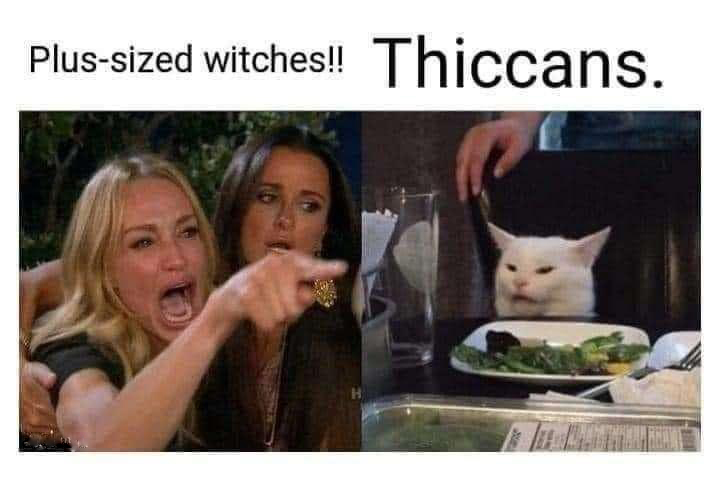 monday morning randomness -  you said no more rate hikes - Plussized witches!! Thiccans.