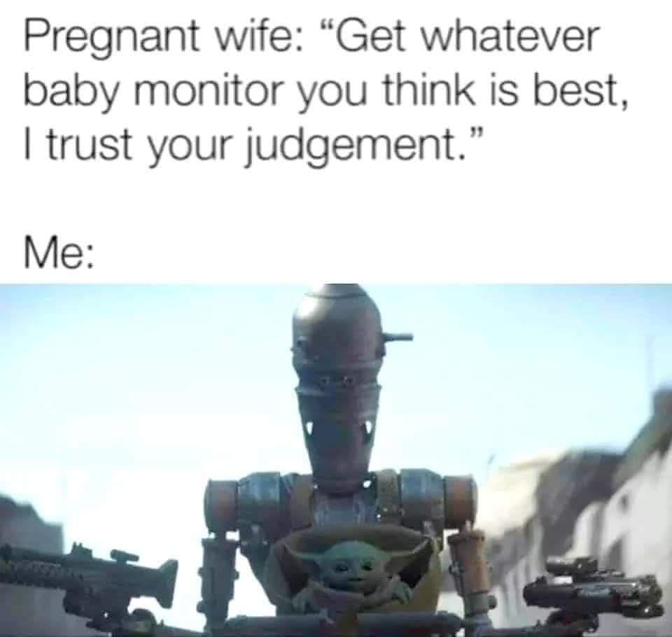 monday morning randomness -  Meme - Pregnant wife "Get whatever baby monitor you think is best, I trust your judgement." Me