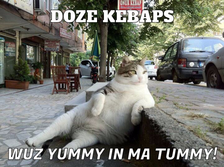 He ate the whole family platter of kebaps!