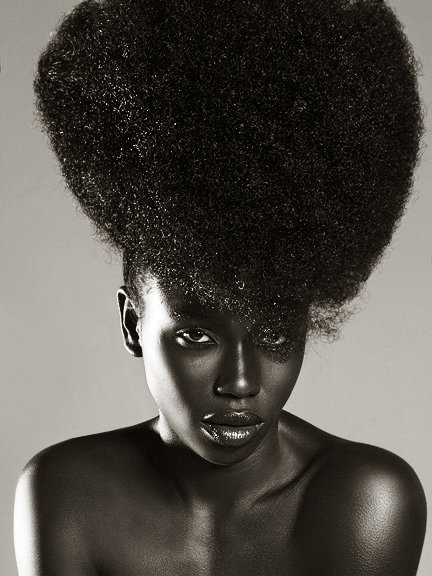 Afro Hairstyles - Gallery | eBaum's World