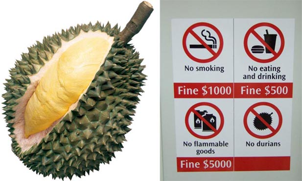 Durian:horrific smell