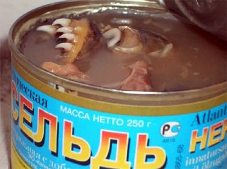 Canned Fish Mouths