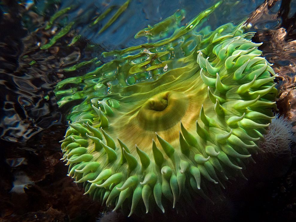Breathtaking Underwater Photos