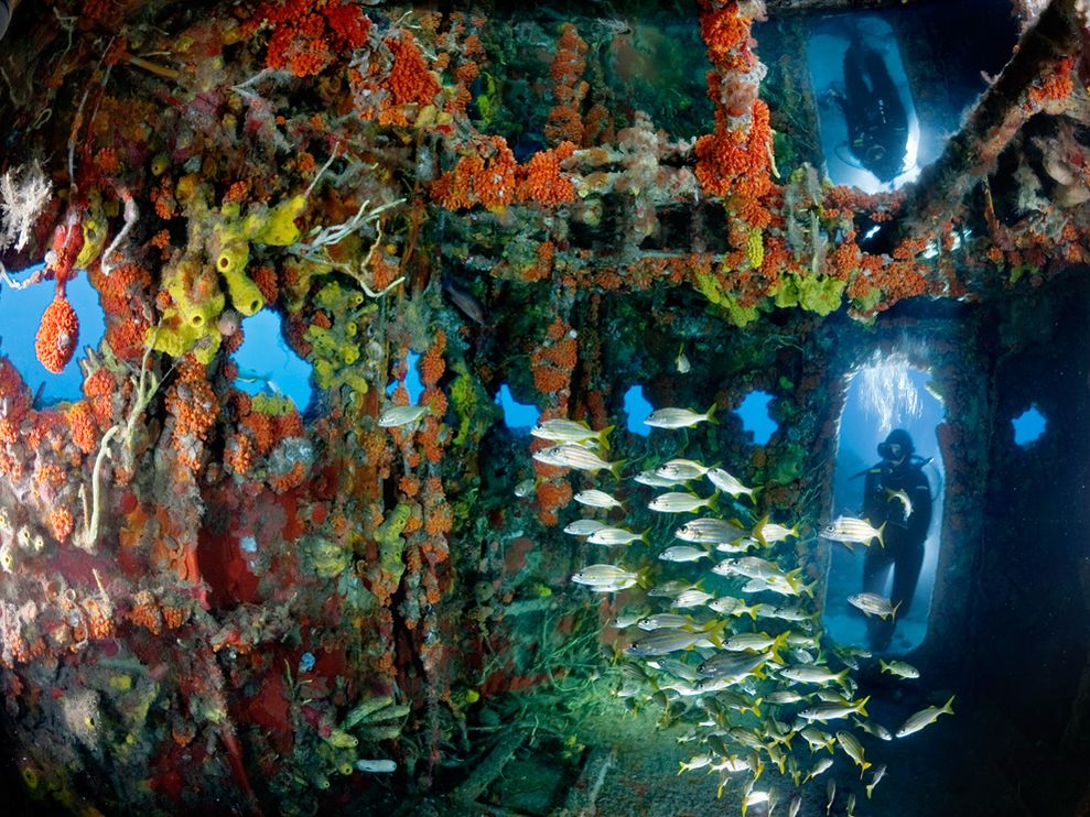 Breathtaking Underwater Photos