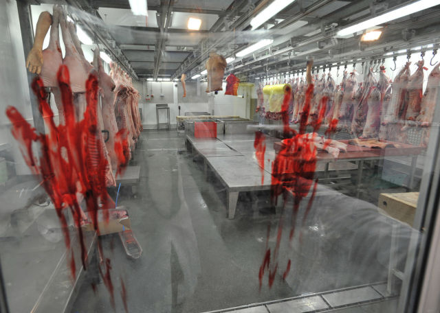 Resident Evil 6 Human Butcher's Shop