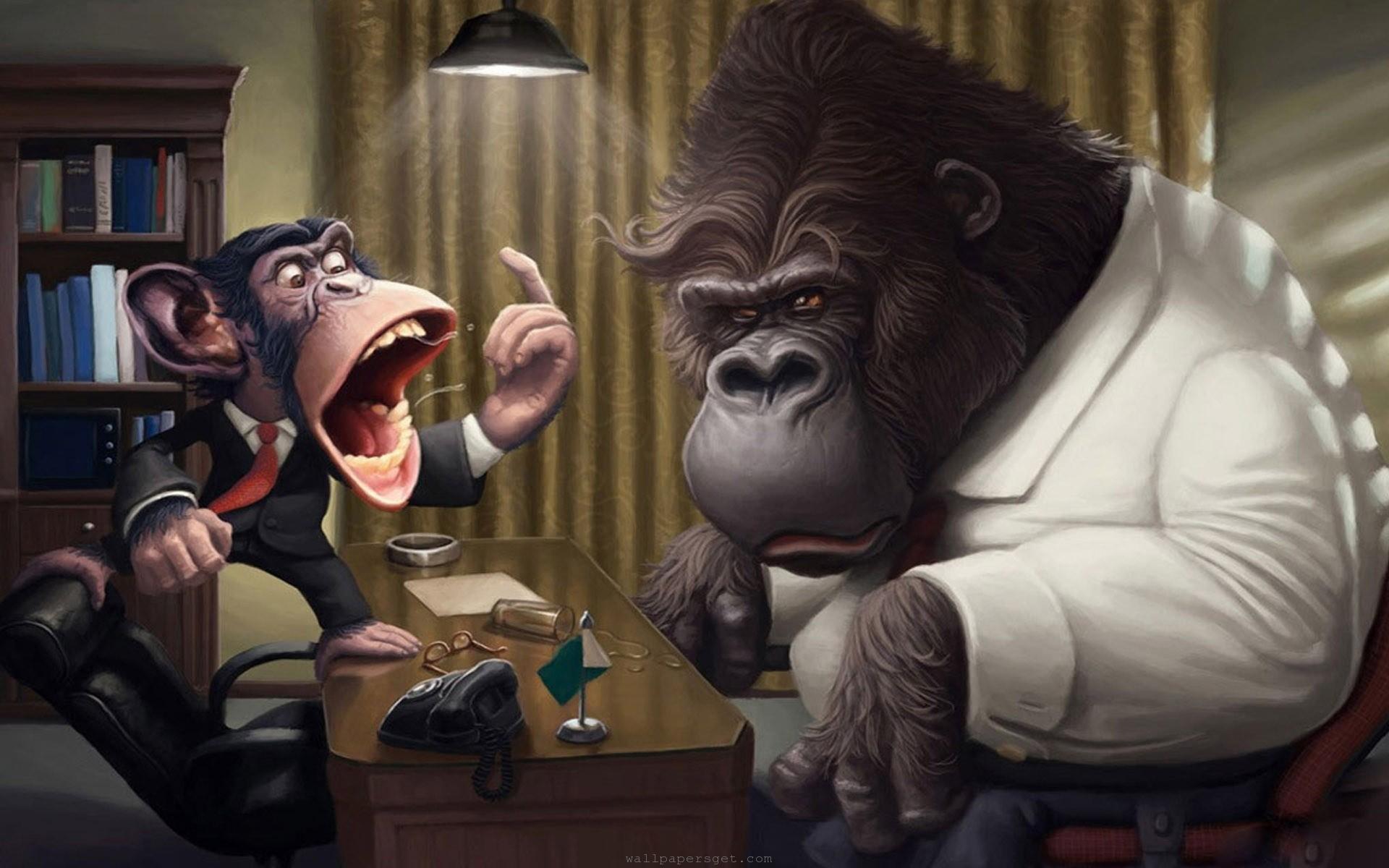 bizarre funny cartoon monkeys - wallpapersget.com