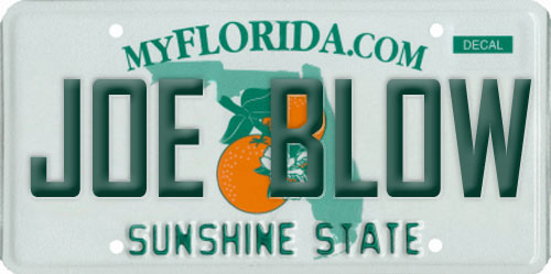 License Plates Florida Actually Approved
