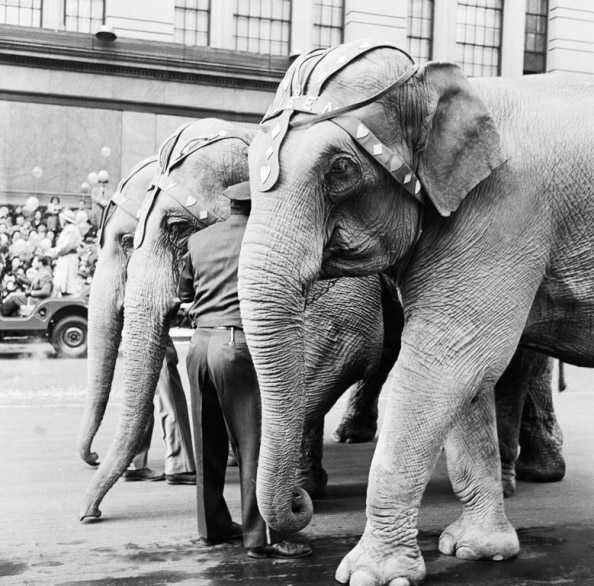 Vintage Thanksgiving Day Parade