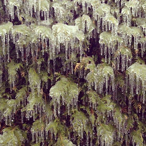 Incredible Ice Storm Photographs