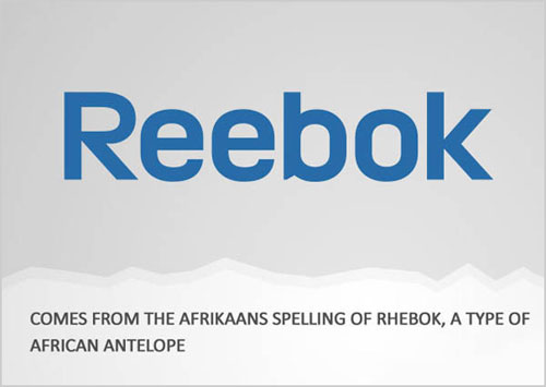reebok - Reebok Comes From The Afrikaans Spelling Of Rhebok, A Type Of African Antelope