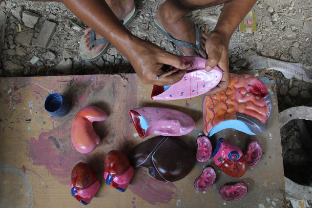 A craftsman paints props human organs