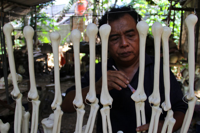 A craftsman works on making props bones of the human body
