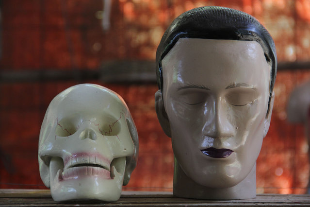 Prop of skull head next to human head