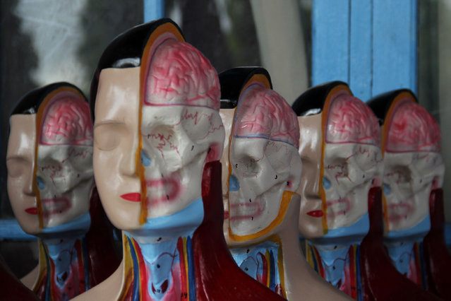 Fully painted mannequins