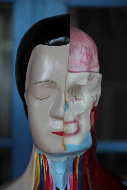 Upclose of human mannequin