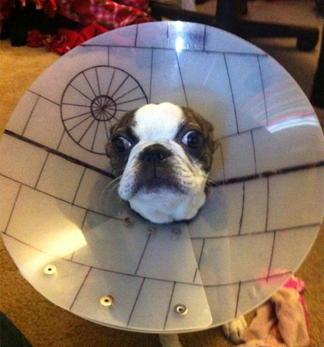 Death Star Dog Cone