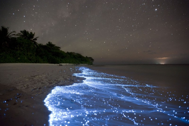 Sea of Stars on Vaadhoo Island, Maldives