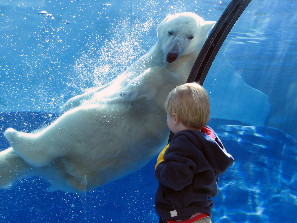 30 People Who Found New Friends At The Zoo