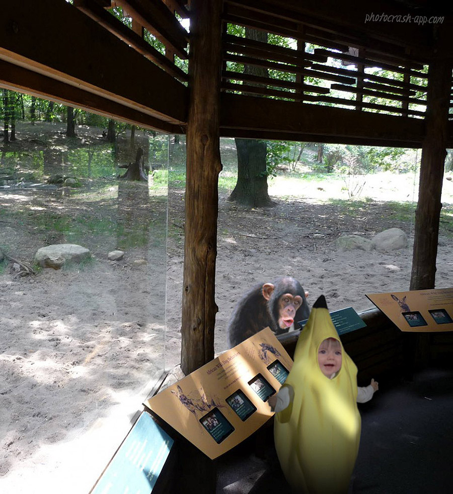 30 People Who Found New Friends At The Zoo